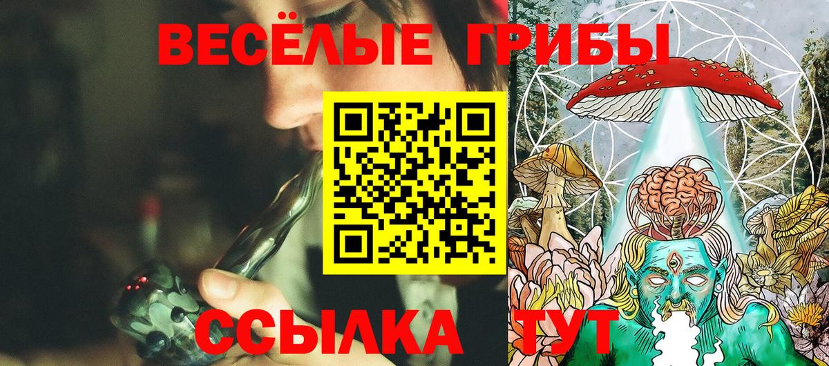 Гай  Псилоцибиновые грибы Psilocybe  Псилоцибиновые грибы Magic Shrooms  Вход с VPN 